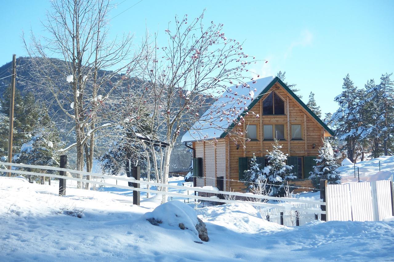 Апартаменты Kuca U Borju - House In Pines Жабляк Экстерьер фото