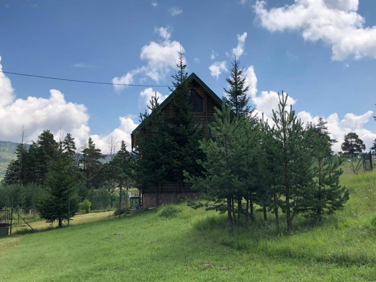Апартаменты Kuca U Borju - House In Pines Жабляк Экстерьер фото